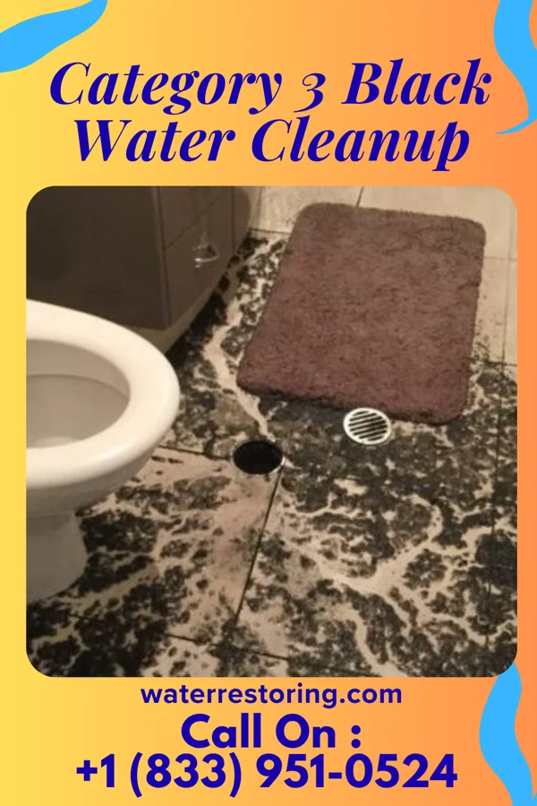 Category 3 Black Water Cleanup in North Olmsted, OH