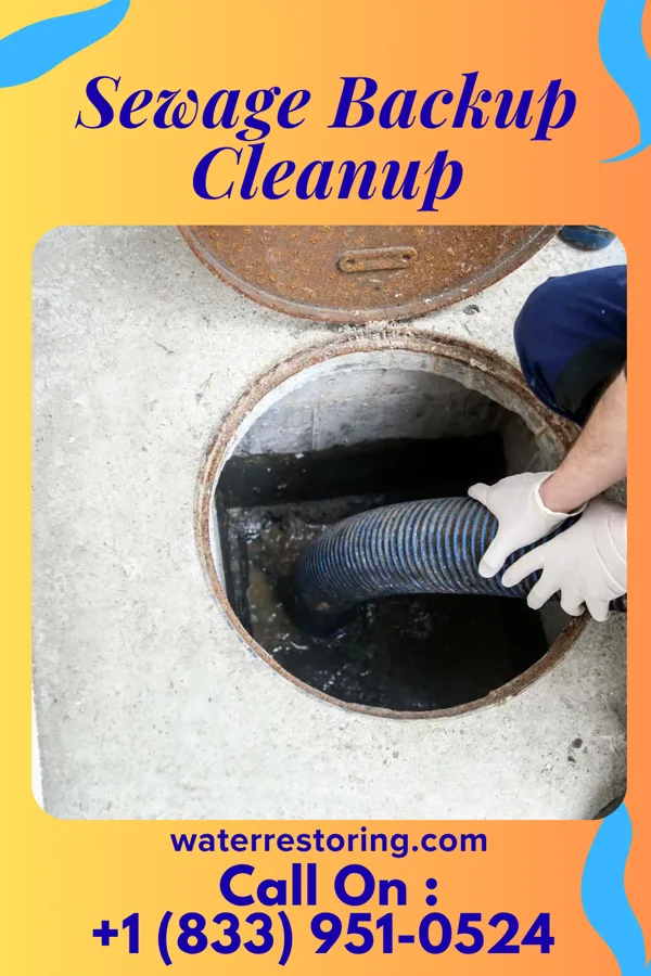 Sewage Backup Cleanup in North Olmsted, OH